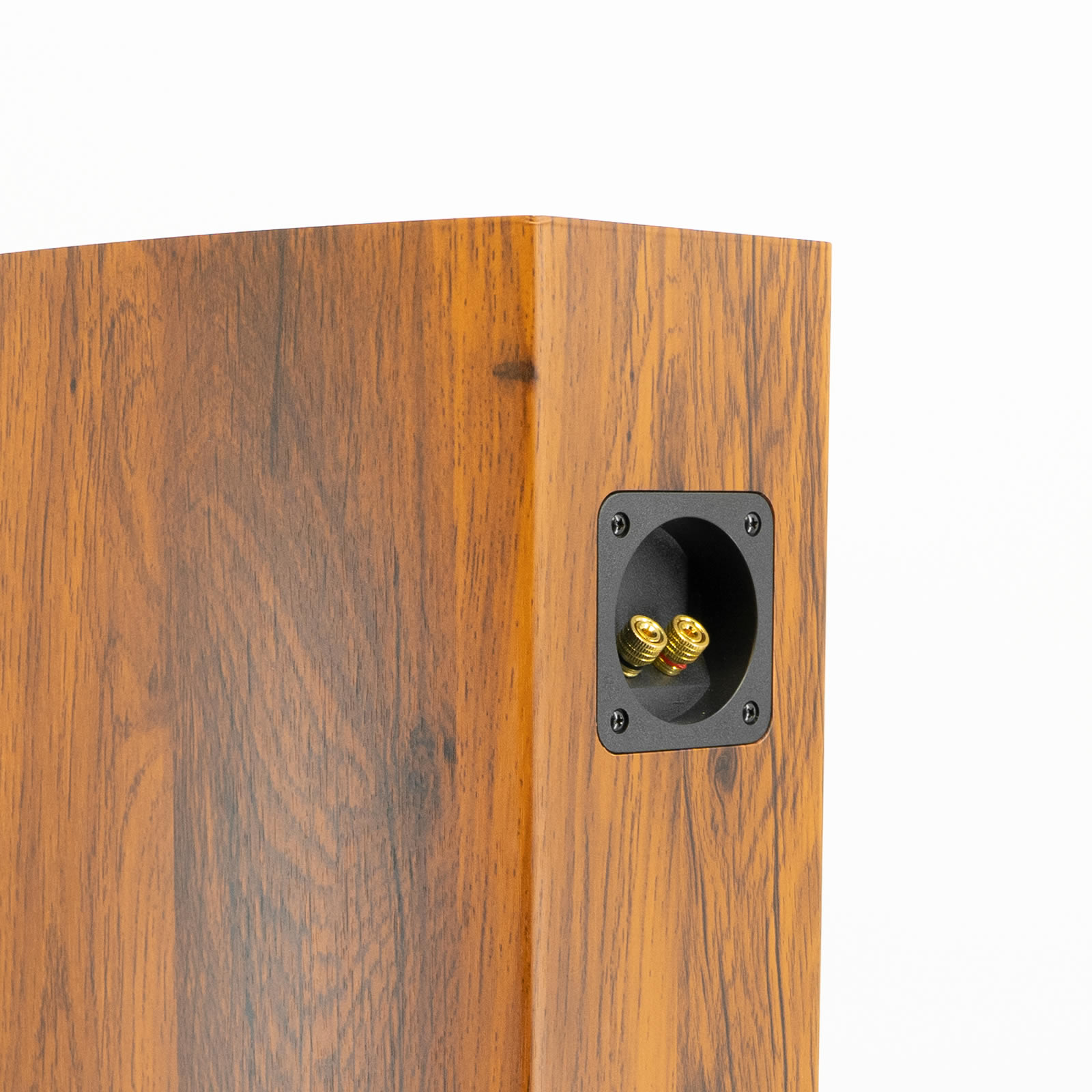 Ihomelife Karaoke speaker Ihomelife Karaoke speaker